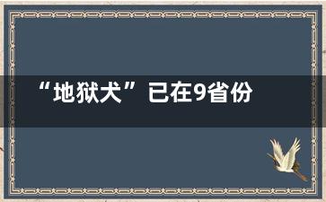 “地狱犬”已在9省份检出但尚未流行 病毒变异快流行趋势不同